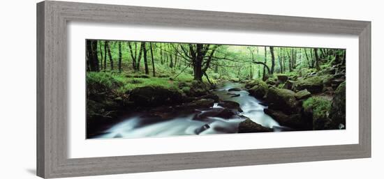 Waterfall in a Forest, Golitha Falls, River Fowey, Cornwall, England-null-Framed Photographic Print