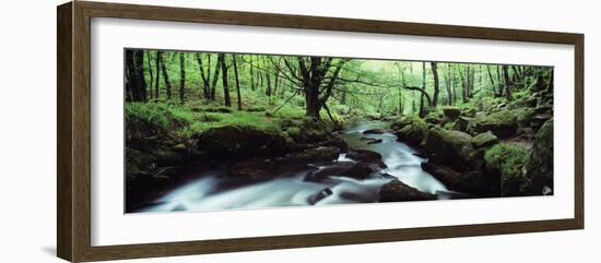 Waterfall in a Forest, Golitha Falls, River Fowey, Cornwall, England-null-Framed Photographic Print