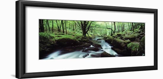 Waterfall in a Forest, Golitha Falls, River Fowey, Cornwall, England-null-Framed Photographic Print