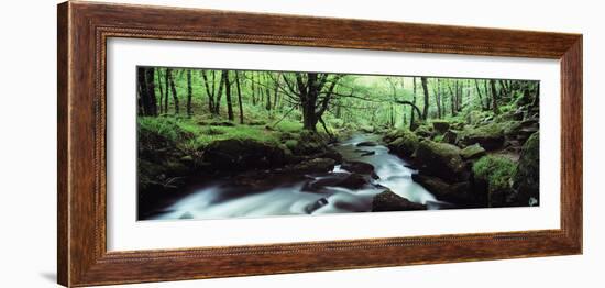 Waterfall in a Forest, Golitha Falls, River Fowey, Cornwall, England-null-Framed Photographic Print