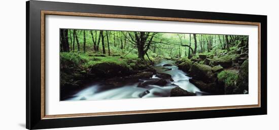 Waterfall in a Forest, Golitha Falls, River Fowey, Cornwall, England-null-Framed Photographic Print