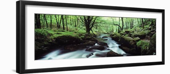 Waterfall in a Forest, Golitha Falls, River Fowey, Cornwall, England-null-Framed Photographic Print