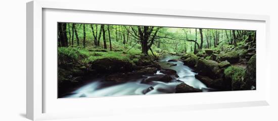 Waterfall in a Forest, Golitha Falls, River Fowey, Cornwall, England-null-Framed Photographic Print