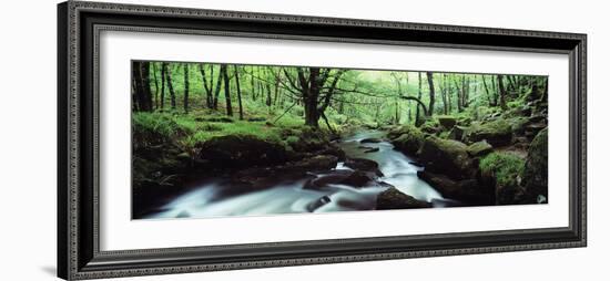 Waterfall in a Forest, Golitha Falls, River Fowey, Cornwall, England-null-Framed Photographic Print