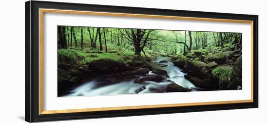 Waterfall in a Forest, Golitha Falls, River Fowey, Cornwall, England-null-Framed Photographic Print