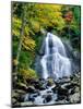 Waterfall in a forest, Moss Glen Falls, 3873 Route 100, Granville Reservation State Park, Granvi...-null-Mounted Photographic Print