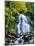 Waterfall in a forest, Moss Glen Falls, 3873 Route 100, Granville Reservation State Park, Granvi...-null-Mounted Photographic Print