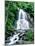 Waterfall in a forest, Moss Glen Falls, 3873 Route 100, Granville Reservation State Park, Granvi...-null-Mounted Photographic Print