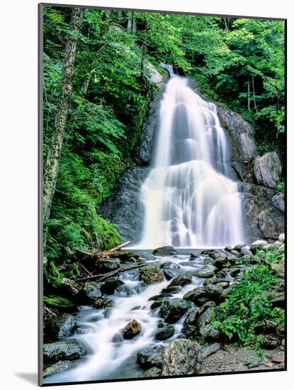 Waterfall in a forest, Moss Glen Falls, 3873 Route 100, Granville Reservation State Park, Granvi...-null-Mounted Photographic Print