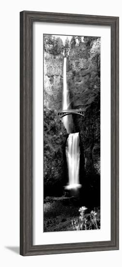 Waterfall in a Forest, Multnomah Falls, Columbia River Gorge, Oregon, USA-null-Framed Photographic Print