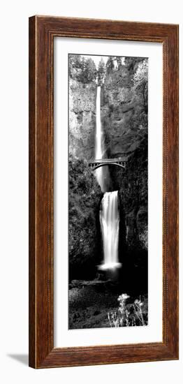 Waterfall in a Forest, Multnomah Falls, Columbia River Gorge, Oregon, USA-null-Framed Photographic Print