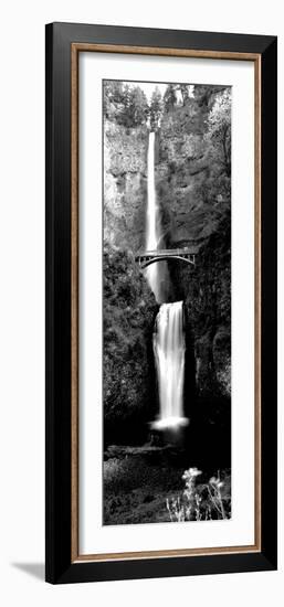 Waterfall in a Forest, Multnomah Falls, Columbia River Gorge, Oregon, USA-null-Framed Photographic Print