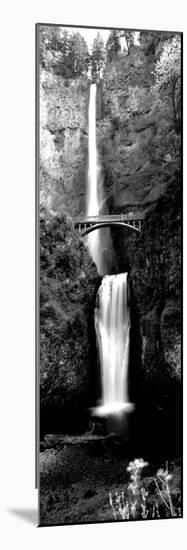 Waterfall in a Forest, Multnomah Falls, Columbia River Gorge, Oregon, USA-null-Mounted Photographic Print