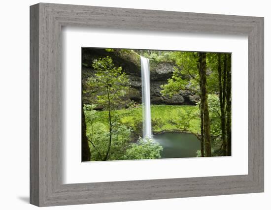 Waterfall in a forest, Samuel H. Boardman State Scenic Corridor, Pacific Northwest, Oregon, USA-Panoramic Images-Framed Premium Photographic Print