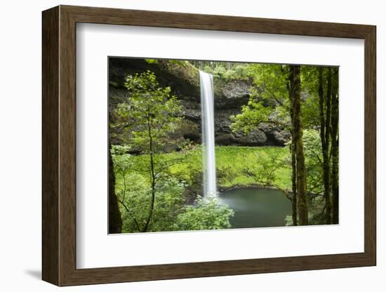 Waterfall in a forest, Samuel H. Boardman State Scenic Corridor, Pacific Northwest, Oregon, USA-Panoramic Images-Framed Premium Photographic Print
