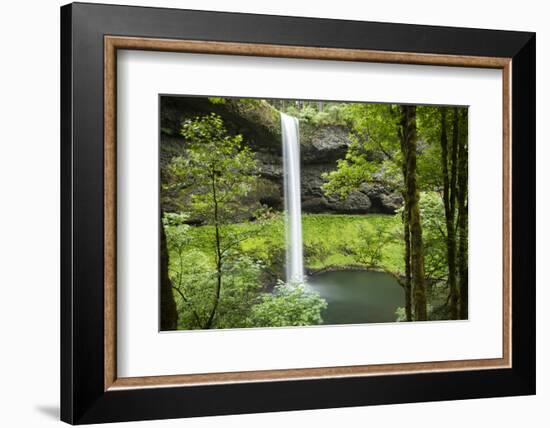 Waterfall in a forest, Samuel H. Boardman State Scenic Corridor, Pacific Northwest, Oregon, USA-Panoramic Images-Framed Premium Photographic Print