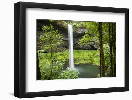 Waterfall in a forest, Samuel H. Boardman State Scenic Corridor, Pacific Northwest, Oregon, USA-Panoramic Images-Framed Premium Photographic Print