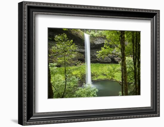 Waterfall in a forest, Samuel H. Boardman State Scenic Corridor, Pacific Northwest, Oregon, USA-Panoramic Images-Framed Premium Photographic Print