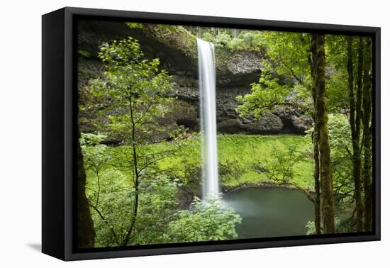 Waterfall in a forest, Samuel H. Boardman State Scenic Corridor, Pacific Northwest, Oregon, USA-Panoramic Images-Framed Premier Image Canvas