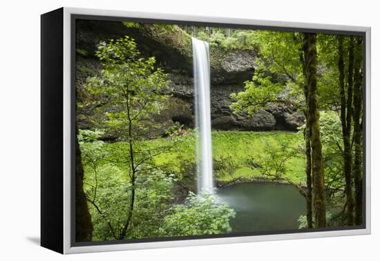 Waterfall in a forest, Samuel H. Boardman State Scenic Corridor, Pacific Northwest, Oregon, USA-Panoramic Images-Framed Premier Image Canvas