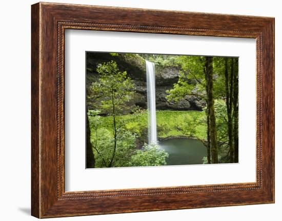 Waterfall in a forest, Samuel H. Boardman State Scenic Corridor, Pacific Northwest, Oregon, USA-Panoramic Images-Framed Photographic Print