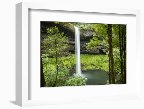 Waterfall in a forest, Samuel H. Boardman State Scenic Corridor, Pacific Northwest, Oregon, USA-Panoramic Images-Framed Photographic Print