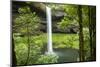 Waterfall in a forest, Samuel H. Boardman State Scenic Corridor, Pacific Northwest, Oregon, USA-Panoramic Images-Mounted Photographic Print