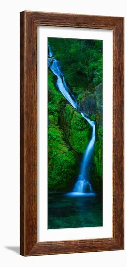 Waterfall in a Forest, Sullivan Falls, Opal Creek Wilderness, Oregon, USA-null-Framed Photographic Print