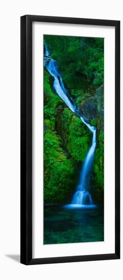 Waterfall in a Forest, Sullivan Falls, Opal Creek Wilderness, Oregon, USA-null-Framed Photographic Print