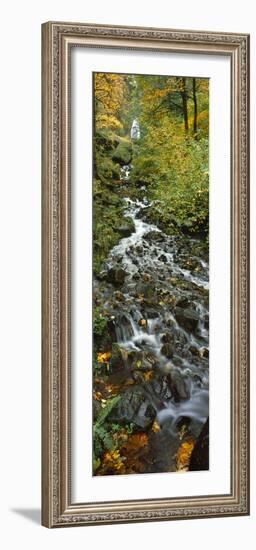 Waterfall in a Forest, Wahkeena Falls, Columbia River Gorge, Multnomah County, Oregon, USA-null-Framed Photographic Print