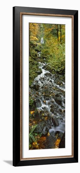 Waterfall in a Forest, Wahkeena Falls, Columbia River Gorge, Multnomah County, Oregon, USA-null-Framed Photographic Print