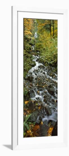 Waterfall in a Forest, Wahkeena Falls, Columbia River Gorge, Multnomah County, Oregon, USA-null-Framed Photographic Print