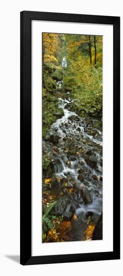 Waterfall in a Forest, Wahkeena Falls, Columbia River Gorge, Multnomah County, Oregon, USA-null-Framed Photographic Print