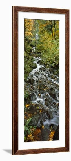 Waterfall in a Forest, Wahkeena Falls, Columbia River Gorge, Multnomah County, Oregon, USA-null-Framed Photographic Print