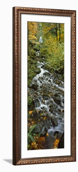 Waterfall in a Forest, Wahkeena Falls, Columbia River Gorge, Multnomah County, Oregon, USA-null-Framed Photographic Print