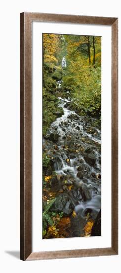 Waterfall in a Forest, Wahkeena Falls, Columbia River Gorge, Multnomah County, Oregon, USA-null-Framed Photographic Print