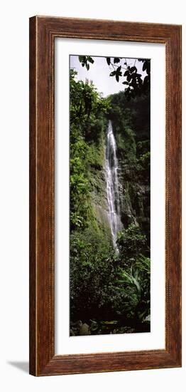 Waterfall in a Forest, Waimoku Falls, Haleakala National Park, Maui, Hawaii, USA-null-Framed Photographic Print