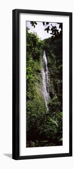 Waterfall in a Forest, Waimoku Falls, Haleakala National Park, Maui, Hawaii, USA-null-Framed Photographic Print