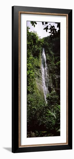 Waterfall in a Forest, Waimoku Falls, Haleakala National Park, Maui, Hawaii, USA-null-Framed Photographic Print