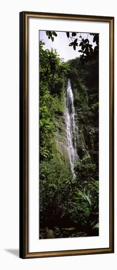 Waterfall in a Forest, Waimoku Falls, Haleakala National Park, Maui, Hawaii, USA-null-Framed Photographic Print