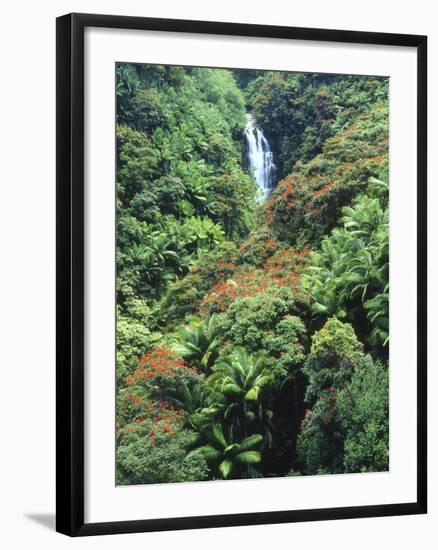 Waterfall in a Tropical Rain Forest, Hawaii, USA-Christopher Talbot Frank-Framed Photographic Print