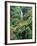 Waterfall in a Tropical Rain Forest, Hawaii, USA-Christopher Talbot Frank-Framed Photographic Print