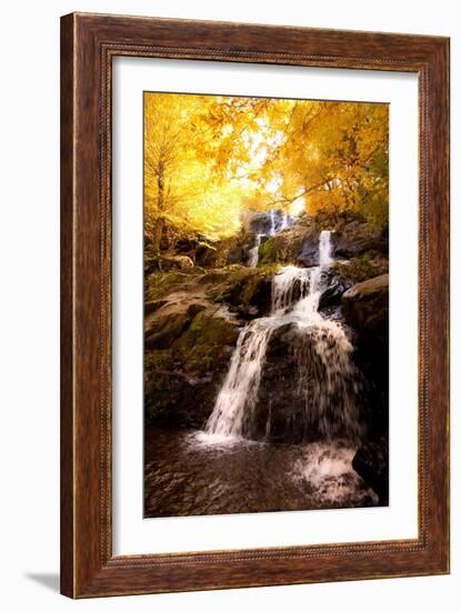 Waterfall in Autumn-Lantern Press-Framed Art Print