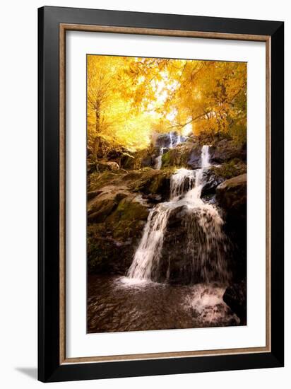 Waterfall in Autumn-Lantern Press-Framed Art Print