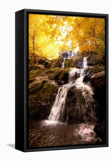 Waterfall in Autumn-Lantern Press-Framed Stretched Canvas
