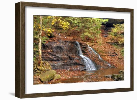 Waterfall In Autumn-5fishcreative-Framed Giclee Print