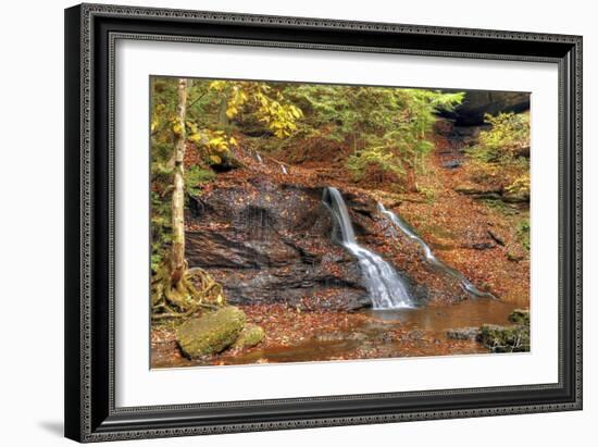 Waterfall In Autumn-5fishcreative-Framed Giclee Print