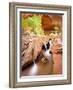 Waterfall in Coyote Gulch-Mike Cavaroc-Framed Photographic Print