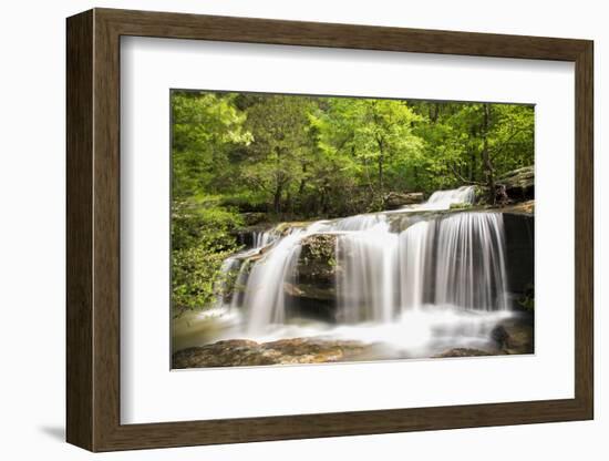 Waterfall in forest, Burden Falls, Shawnee National Forest, Saline County, Illinois, USA-Panoramic Images-Framed Photographic Print