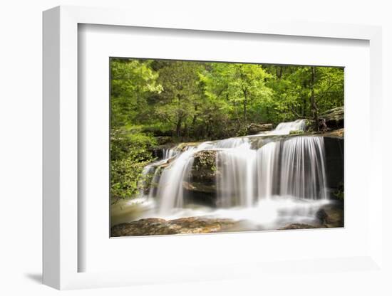 Waterfall in forest, Burden Falls, Shawnee National Forest, Saline County, Illinois, USA-Panoramic Images-Framed Photographic Print